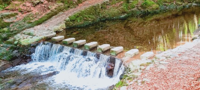 Stepping Stones