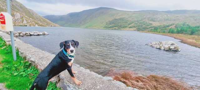 Irland